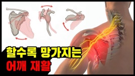 네이버 인플루언서 [네이버 인플루언서] 스스로 어깨 재활하다 망가지는 진짜 이유 [이것만은 꼭 지키세요]