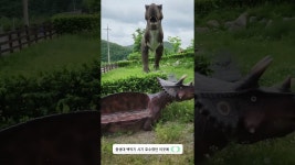 네이버 인플루언서 [네이버 인플루언서] 청송에 공룡이 나타났다 #신성리공룡발자국 #청송여행 #청송가볼만한곳 #경북여행 #경북가볼만한곳... 