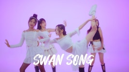 네이버 인플루언서 [네이버 인플루언서] LE SSERAFIM (르세라핌) Swan Song DANCE COVER (댄스커버)