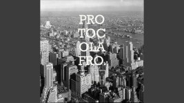 Owl - Protocol Afro | Shazam Owl - Protocol Afro