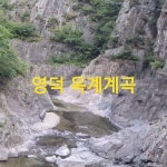 전용기 - YouTube 전용기