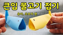 네이버 인플루언서 [네이버 인플루언서] 초보자용 큰입 물고기 쉬운 종이접기 유아 초등 Easy Largemouth Fish Origami