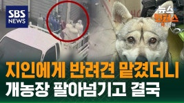 진짜 개고기에 미친 민족 같네.... - 아이돌마스터 갤러리