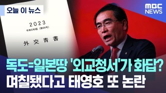 독도=일본땅 '외교청서'가 화답? ..잠잠하던 태영호 또 논란 - 이재명 마이너 갤러리