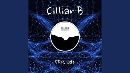 Runs High - Cillian B: 노래 가사, 뮤직 비디오 및 콘서트