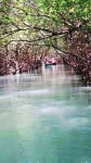 Paz e Amor - YouTube