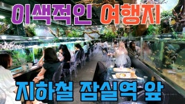 비너스야 이거 - 2020 도쿄 올림픽 갤러리