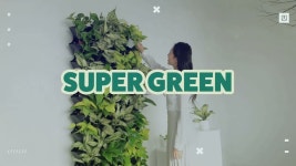 [씨엠아이 주식회사] | [간단]수직정원 설치 보조 | 알바몬