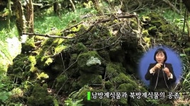 생태관광, 에코힐링명소 제주교래자연휴양림_수화 | Doovi 생태관광, 에코힐링명소 제주교래자연휴양림_수화