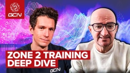 포가차 코치가 일반인도 존2해도 된대 - 로드싸이클 마이너 갤러리