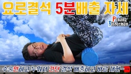 요로결석 끝 (끌팁 방출) - 요로결석 마이너 갤러리