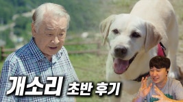 네이버 인플루언서 [네이버 인플루언서] KBS 드라마 《개소리》 초반 후기