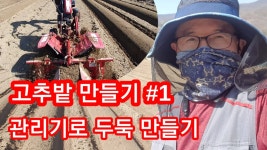 네이버 인플루언서 [네이버 인플루언서] 풀뿌리농장의 고추심는시기