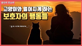 네이버 인플루언서 [네이버 인플루언서] 고양이와 멀어지게 하는 보호자의 행동들