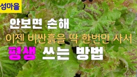 흙 재사용할때 유기질 비료 쓰면되나? - 식물 갤러리
