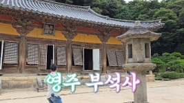 네이버 인플루언서 [네이버 인플루언서] 천년의 역사를 가진 영주 부석사