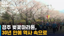 경주벚꽃마라톤 30년만에 역사속으로 - 러닝 마이너 갤러리