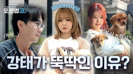 [EP.11] 포캣멍GO 세이마이네임 포캣멍센터 봉사오다 - 친문친명 마이너 갤러리