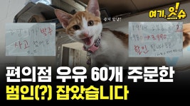 고양이가 그랬어요.youtube - 판타지 갤러리