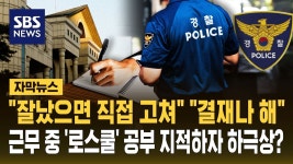 경찰쪽도 로스쿨 생각하는 사람 있나보네? - 초등교육 마이너 갤러리