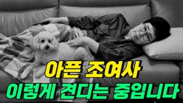 네이버 인플루언서 [네이버 인플루언서] [조여사라이프] 아픈 조여사가 정신이 번쩍 나고 팔팔해지는 비법!! 일상을 공개합니다!!