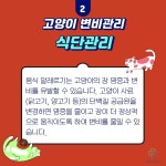 본펫동물병원 - YouTube