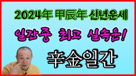 신금 갑진년운세 - 역학 갤러리