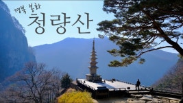 네이버 인플루언서 [네이버 인플루언서] 하루산의 청량산등산코스