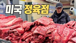 미국 고기 진짜 싸네 - 05년생 미니 갤러리