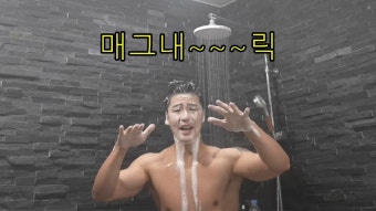 돌담위에흑돼지 이미지