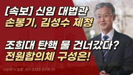 대법관 추천 손봉기 조희대의 승리 --서정욱 변호 피셜 - 진보보수정치 마이너 갤러리