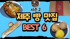 네이버 인플루언서 [네이버 인플루언서] 조끄띠의 제주빵지순례