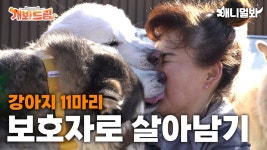 동물농장 예고!! (애니멀봐) - 슬기 갤러리