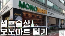자취하면 모노마트 가샘 - 노래연습 마이너 갤러리