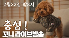 네이버 인플루언서 [네이버 인플루언서] 오빠 훈련소 수료식이야기 & 고향이야기! 꼬니&캣틀즈 라방합니다! 지금 들어와주세요^^