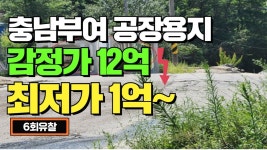네이버 인플루언서 [네이버 인플루언서] 부여 공장용지 12억에서 1억까지 유찰