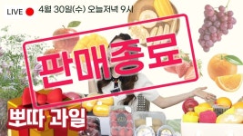 과일담따(마전지구점) | [뽀따부티크_판매종료] H백화점급 프리미엄 과일을 이 가격에??! 배송비까지 뽀따가 시원하게 쏩니다~~ 뽀따TV 최초 "뽀따 과일 공구"🍎🍇🍓🥝