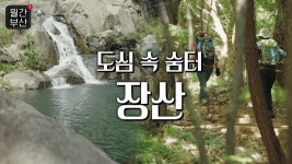 KBS 부산 장산 다큐 - 등산 갤러리