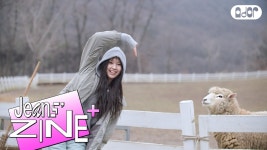 뉴진스 [JeansZINE] 체험 삶의 목장 - 여자아이돌 음악 마이너 갤러리