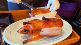 아니껍데기만먹고살은다버린다고?? - 우루하 루시아 마이너 갤러리