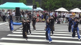 활인 합기도 시범  -  광화문   2016.9.04.hnh | Doovi 활인 합기도 시범  -  광화문   2016.9.04.hnh