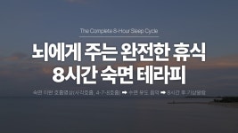 머릿속 생각 스위치를 끄는 숙면 이완 호흡명상 수면 테라피, 8시간 숙면 가이드 | 사각 호흡, 박스 호흡, 4-7-8 호흡, 수면 음악 | 요가소년 559