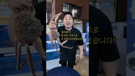네이버 인플루언서 [네이버 인플루언서] 러시아 대게 이렇게 팔면 망하는거 아니야?