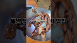 네이버 인플루언서 [네이버 인플루언서] 밀양맛집 내이동 맛집 현지인이추천 #낙지에반하다
