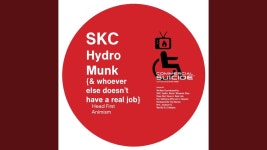 Animism - SKC, Hydro & Munk: 노래 가사, 뮤직 비디오 및 콘서트