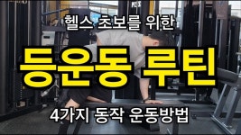 네이버 인플루언서 [네이버 인플루언서] 등운동 루틴 헬스 초보를 위한 4가지 동작 운동방법