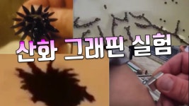 산화그래핀 ㄷㄷㄷ - 미국 정치 마이너 갤러리
