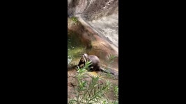 Sharleen Khan - YouTube