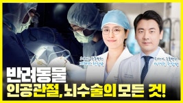 네이버 인플루언서 [네이버 인플루언서] 강아지 인공관절, 뇌수술의 모든 것! (오아시스 정형외과 신경외과 동물병원 풀버전)
