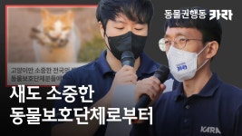 우리나라 동물권 단체 수쥰 - 국내야구 갤러리